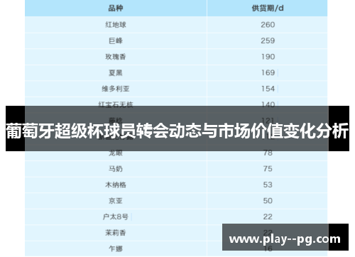 葡萄牙超级杯球员转会动态与市场价值变化分析 葡萄牙超级杯球员转会动态与市场价值变化分析