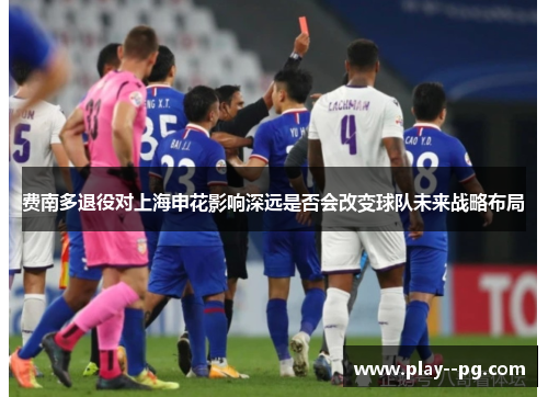 费南多退役对上海申花影响深远是否会改变球队未来战略布局