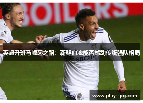 英超升班马崛起之路：新鲜血液能否撼动传统强队格局