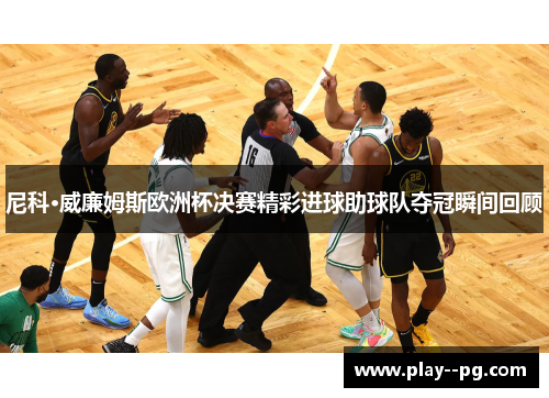 尼科·威廉姆斯欧洲杯决赛精彩进球助球队夺冠瞬间回顾